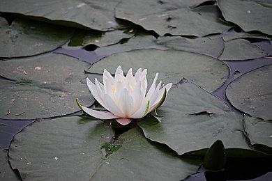 《死亡之屋：重制版》9月23日登陆XSX＆S 已登陆PC